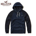【ポイント10倍 7/22 10:00〜7/25 9:59まで】 ホリスター HOLLISTER 正規品 メンズ パーカー Iconic Fleece Hoodie 322-221-0495-202