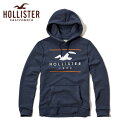 【ポイント10倍 7/22 10:00〜7/25 9:59まで】 ホリスター HOLLISTER 正規品 メンズ パーカー Logo Graphic Fleece Hoodie 322-226-0020-202