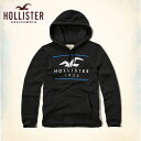 【ポイント10倍 7/22 10:00〜7/25 9:59まで】 ホリスター HOLLISTER 正規品 メンズ パーカー Logo Graphic Fleece Hoodie 322-221-0550-900