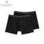 スコッチアンドソーダ SCOTCH&SODA 正規販売店 メンズ アンダーウェア ボクサーパンツ 2枚組 BASIC 2-PACK CLASSIC BOXER SHORTS 124904 08 69900 D