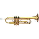【在庫有り/完全調整】YAMAHA ヤマ...