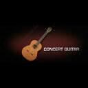 Vienna Symphonic Library/VIENNA CONCERT GUITAR【VIENNA期間限定キャンペーン】 ランキングお取り寄せ