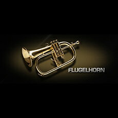 Vienna Symphonic Library/VIENNA FLUGELHORN...:miyajimusic:10034407