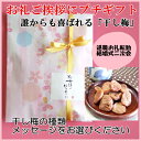 プチギフト「干し梅小袋入」お好きなメッセージをお選びください。【ミニギフト】【プ