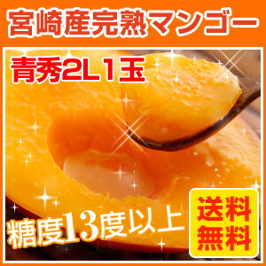 【完熟マンゴー】青秀2L玉1個【お買い得】味はAクラス【宮崎マンゴー】口にしたら止まらない美味しさ◎【お中元】【おくりもの】で大切な人へ感謝★【送料無料】でお買い得♪【完熟マンゴー】お中元に♪【マンゴー名人の宮崎完熟マンゴー】2L1玉（青秀）パック