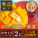 お中元グランプリ受賞☆ 【送料無料】完熟マンゴー!宮崎産 【朝穫れ“厳選”完熟マンゴー】 『秀品-極上玉(赤秀)』 ≪中サイズ(300g〜349g)×2玉≫【父の日】【お中元】【ギフト】【プレゼント】【おいしい】【おとなの週末】
