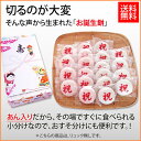 リュック無し 一升餅 一生餅 小...
