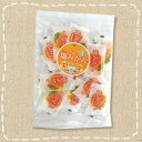 【特価】ドライフルーツ ドライ塩みかん ピロ個装 52g 沖...