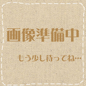 【特価】昔なつかしいこんぺいとう 袋キャンディ 春日井製菓