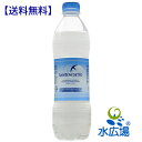 サンベネデット(SAN_BENEDETTO) 炭酸500mlx24本入 送料無料【RCP】