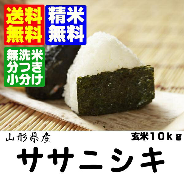 23年産米　送料無料・無洗米・分搗き対応山形県産ササニシキ玄米10kg送料無料　ササニシキ玄米10kgです。無洗米・分搗きに対応します。お米アレルギーのかたに向いた品種ですササニシキは夏場は水加減を10％増やすこと！！