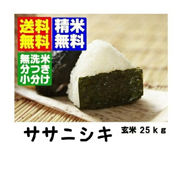 【23年産】山形県産ササニシキ玄米30kg 【送料無料】【米・無洗米・胚芽米・玄米】【23年産】山形県産ササニシキ玄米30kg 【送料無料】 ササニシキは夏場は水加減を10％増やすこと！！