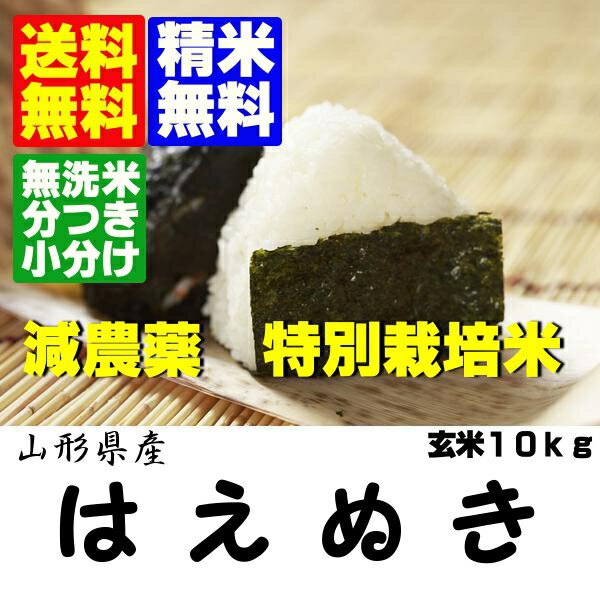 ★18年連続食味値特A★23年産 特別栽培米はえぬき玄米10kg【送料無料・無洗米・分づき対応】