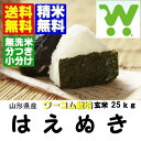 23年産★ワーコム栽培米はえぬき玄米30K　送料無料・分づき・無洗米・精米無料