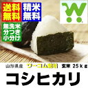 ★23年産米食味値特A獲得★ 【送料無料】【米・無洗米・胚芽米・玄米】玄米30kgワーコム栽培米コシヒカリ玄米30kg