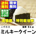 23年産 特別栽培米ミルキークイーン玄米5kg【送料無料】【分づき米】【無洗米】対応