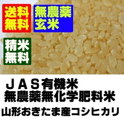 【<strong>無農薬玄米</strong>】　令和5年産　山形コシヒカリ玄米5kg【北海道〜近畿地方のみ送料無料】【中国・四国・九州・沖縄地方は追加運賃】