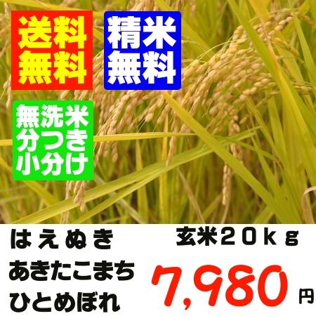 精米・送料無料23年産山形の検査一等　米 玄米20kgあきたこまち　ひとめぼれ　はえぬき