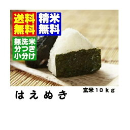 28年産山形県産はえぬき玄米10kg　【米 10kg 送料無料】【精米方法自由：分づき米（胚芽米）・無洗米・白米・玄米】