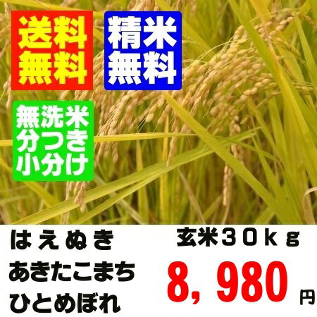 【小分け・無洗米対応】【精米・送料無料】24年産　山形県産検査一等米 玄米30kgはえぬき・ひとめぼれ・あきたこまち【小分け・無洗米対応】【玄米　30kg】【米　30kg】