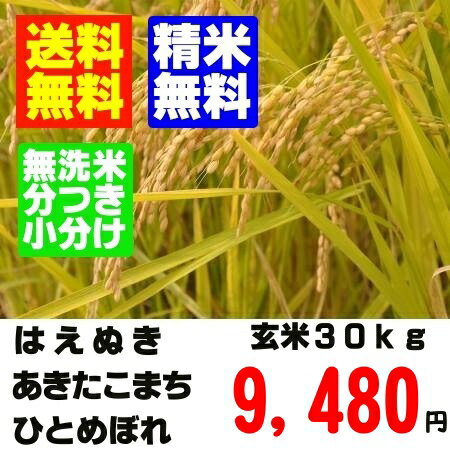 24年産　山形県産検査一等米 玄米30kgはえぬき・ひとめぼれ・あきたこまち