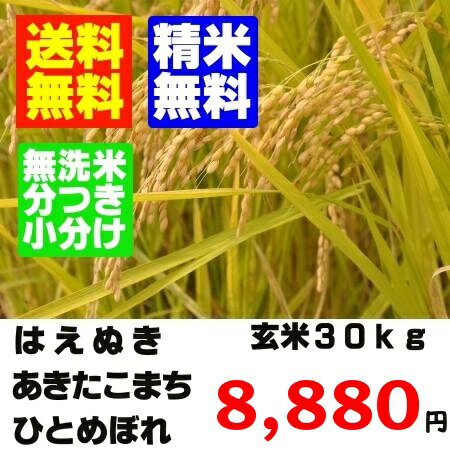 25年産　山形県産一等米 玄米 30kgはえぬき ひとめぼれ あきたこまち　　