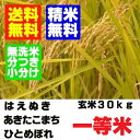 28年産 山形県産一等米 玄米 30kg はえぬき ひとめぼ...