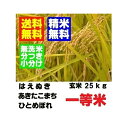 新米　令和1年産　山形県産一等米 　はえぬき ひとめぼれ あきたこまち　玄米 25kg 精