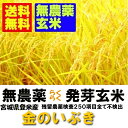 【無農薬　らくらく発芽玄米】新米　令和1年産　宮城県産金のいぶき　2kgx2袋　【無洗