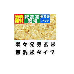 【減農薬　らくらく<strong>発芽玄米</strong>】 　令和5年産　減農薬　宮城県産<strong>金のいぶき</strong>使用　4．5kgx1袋　【無洗米の玄米】【北海道〜近畿地方のみ送料無料】【中国・四国・九州・沖縄地方は追加運賃】