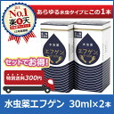 【送料無料】水虫薬 エフゲン 30ml 2本セット【第2類医薬品】 水虫 治療 薬 女性 白癬菌 爪水虫 いんきんたむし いんきん インキン 医薬品 角質ケア 足 角質 足指 レディース 送料込み ミズムシ 10P19Jun15
