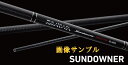 【祝イーグルス勝利 エントリーでポイント2倍 期間:19日23時59分まで】【大型商品(220サイズ)】【ダイワ】サンダウナー コンペティション 29-395S・Q