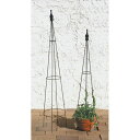アイアン ツル植物 / トピアリー SYT09-M120 【取り寄せ商品】 大同クラフト