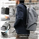 【ポイント10倍 8/21 09:59まで】 アマリオ クルム バックパック AMARIO back pack crum BP15 メンズ レディース 一眼レフカメラ対応 リュック【ギフト】【送料無料】【あす楽対応】【バッテリープレゼント対象商品】