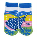 キッズ ぴったんこソックス アクアフレンズ ジンベエザメ 子供用靴下 HNA 13~18cm 海洋生物 アンクルソックスグッズ【メール便可】【あす楽】マシュマロポップ