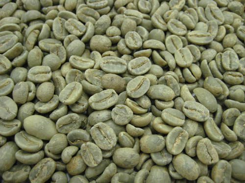コーヒー生豆メキシコ AL 1kg【MMC珈琲】【マラソン201207_食品】