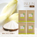 イヌリン 2.2kg (550g × 4袋) イヌリア チコリの根 水溶性食物繊維 粉末 水溶性 食物繊維 腸内細菌 100% 天然由来 サプリメント サプリ 天然 腸活 発酵 腸内フローラ 善玉菌 栄養 低糖質 コレステロール 低下 菊芋 送料無料