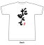 静岡人「だもんで」Tシャツ ホワイト筆文字 静岡 ご当地Tシャツ 静岡 静岡県民 方言 静岡弁 だもんで ご当地 おもしろTシャツ 半袖 レディース メンズ プレゼント ギフト 2,420円