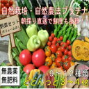 自然農法プラチナ・自然栽培 野菜セット(夏季) Lサイズ(ボ...