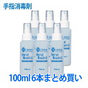 薬用ハンドウォッシュG 100mL 6本まとめ買い 手指消毒剤 業務用 ウイルス 感染症予防 