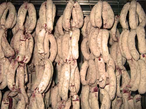 ξʤϸߤͽ򾵤äƤޤȯͽ327Ǥǥ졼̳ܶѡ奵12Ķ̡򥫥ӥߡ