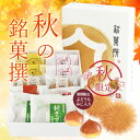 やまだ屋のもみじ饅頭【秋限定】秋の銘菓撰10個入