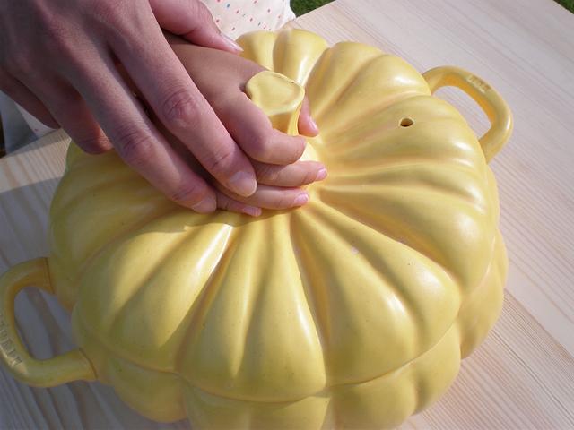 【送料無料】（日本国内に限る）がぼちゃ土鍋L【FS_708-10】