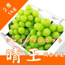 ぶどう王国 岡山より直送岡山産 ”シャインマスカット「晴王」” 2房 約1kg!最安値に挑戦!【8月下旬〜9月上旬出荷】順次出荷致します。