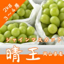 ぶどう王国 岡山より直送岡山産 ”シャインマスカット「晴王」” 3〜4房 約2kg!最安値に挑戦!【8月下旬〜9月上旬出荷】順次出荷致します。