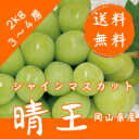 【送料無料】ぶどう王国 岡山より直送岡山産 ”シャインマスカット「晴王」” 3〜4房 約2kg!最安値に挑戦!【8月下旬〜9月上旬出荷】順次出荷致します。