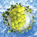 【発送は11/15まで】☆人気No1!「岡山特産」桃太郎ぶどう 1房:750g以上 ★皮ごと食べれて、おどろきの種なし! 【smtb-kd】 【10P14Nov13】