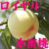 予約受付中！岡山県産・水蜜桃（白鳳種）ロイヤル「糖度12度以上」 9個〜12個 3kg  【マラソン1207P10】