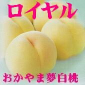 晴れの国おかやま「おかやま夢白桃（ロイヤル糖度12度以上）」5個〜6個 1.5kg 【smtb-kd】【10P17Aug12】★送料無料★