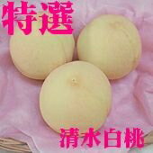予約受付中！「岡山県産最高級の桃」清水白桃（5個〜6個）1.5kg 白く美しい果肉はとろけるような甘さです 【マラソン1207P10】